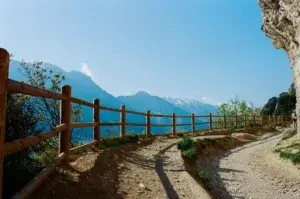 wooden horizontal fence