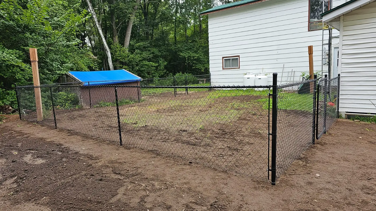 Chain Link Fence for dog