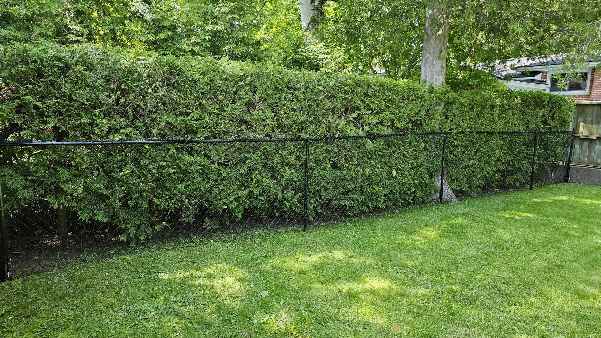 Residential Chain Link Fence