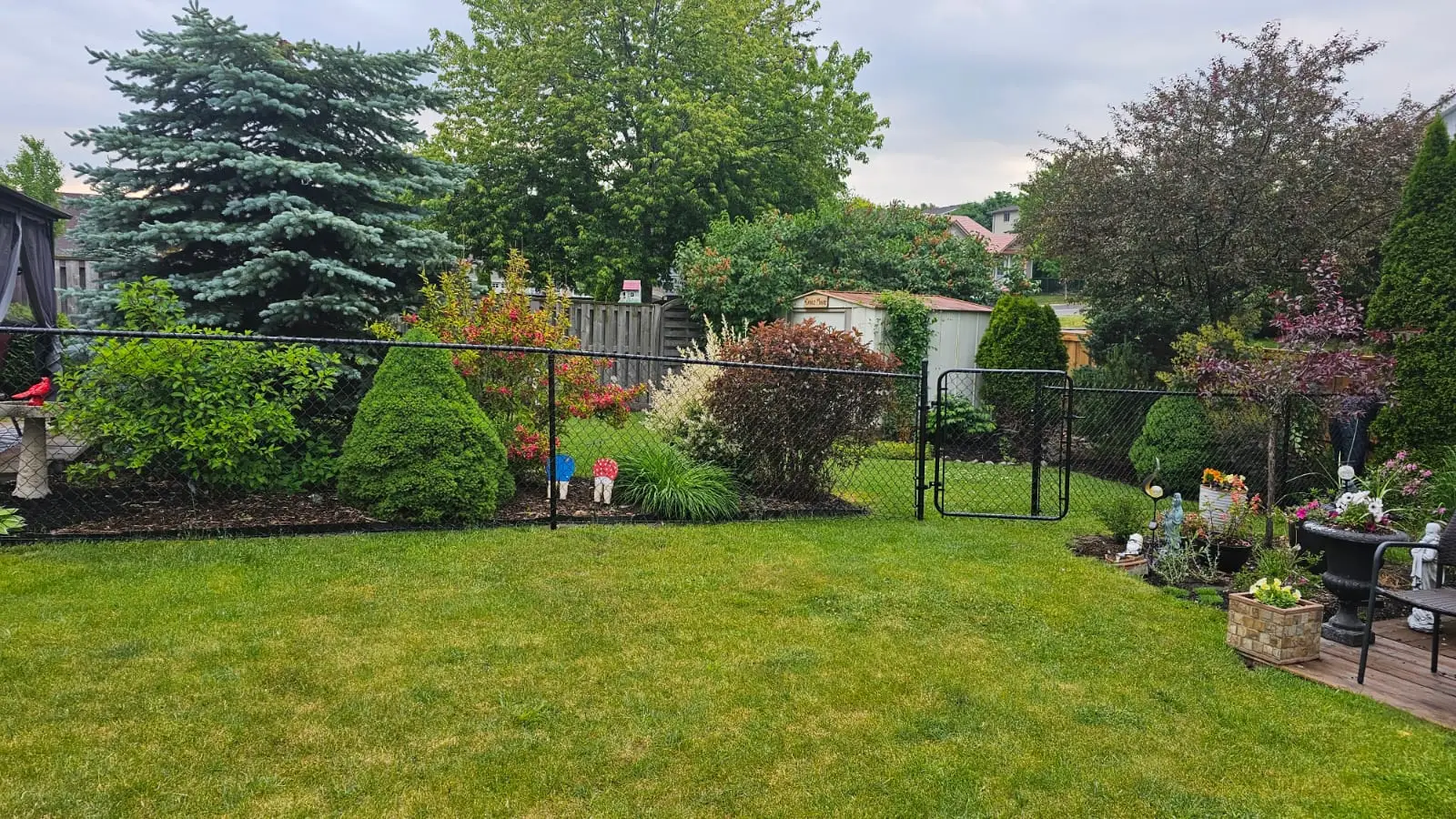 Residential Chain Link Fence around garden