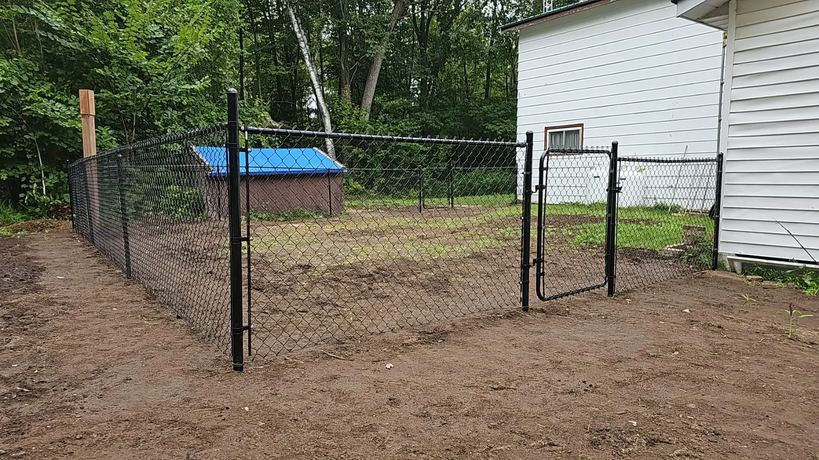 Residential Chain Link Fence to have safe place for puppies