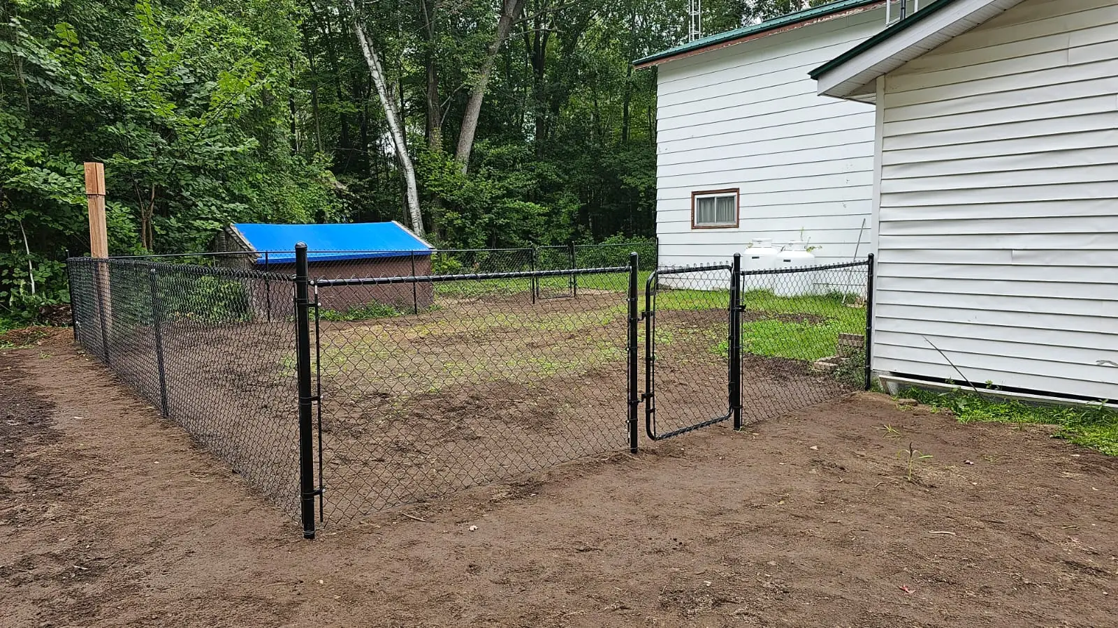 Dog Enclosure