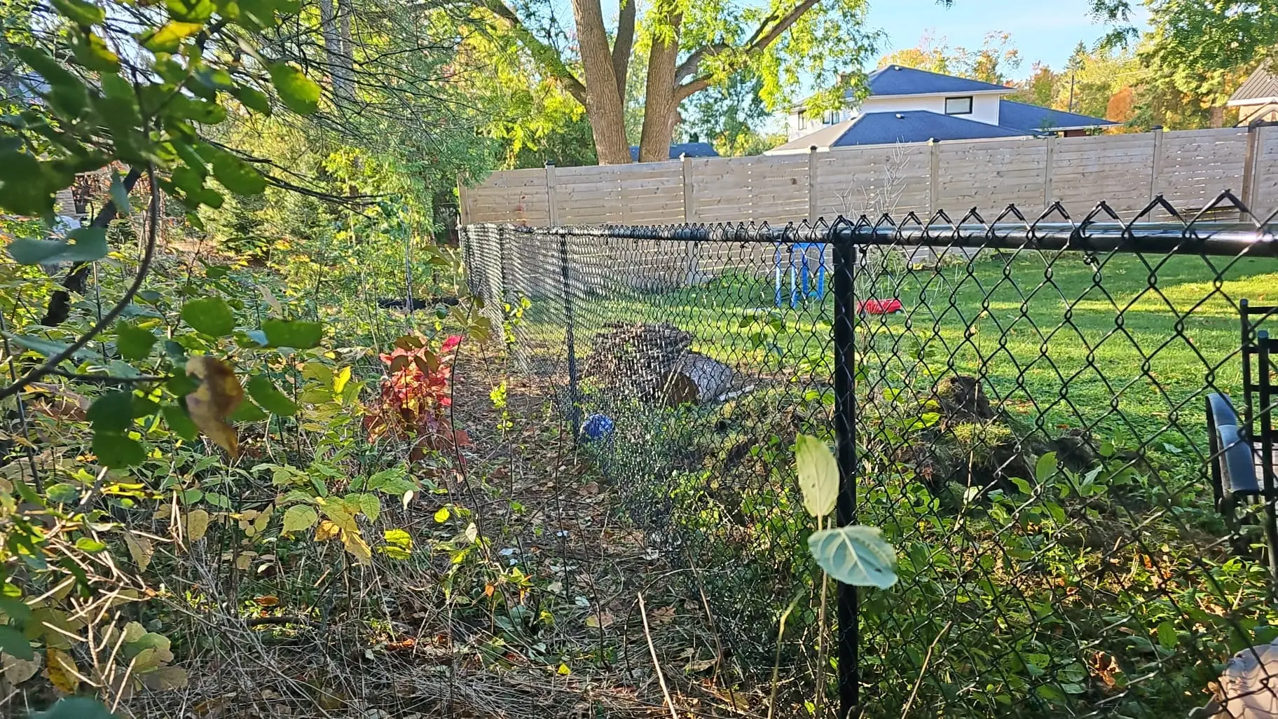 Residential Chain Link Fence