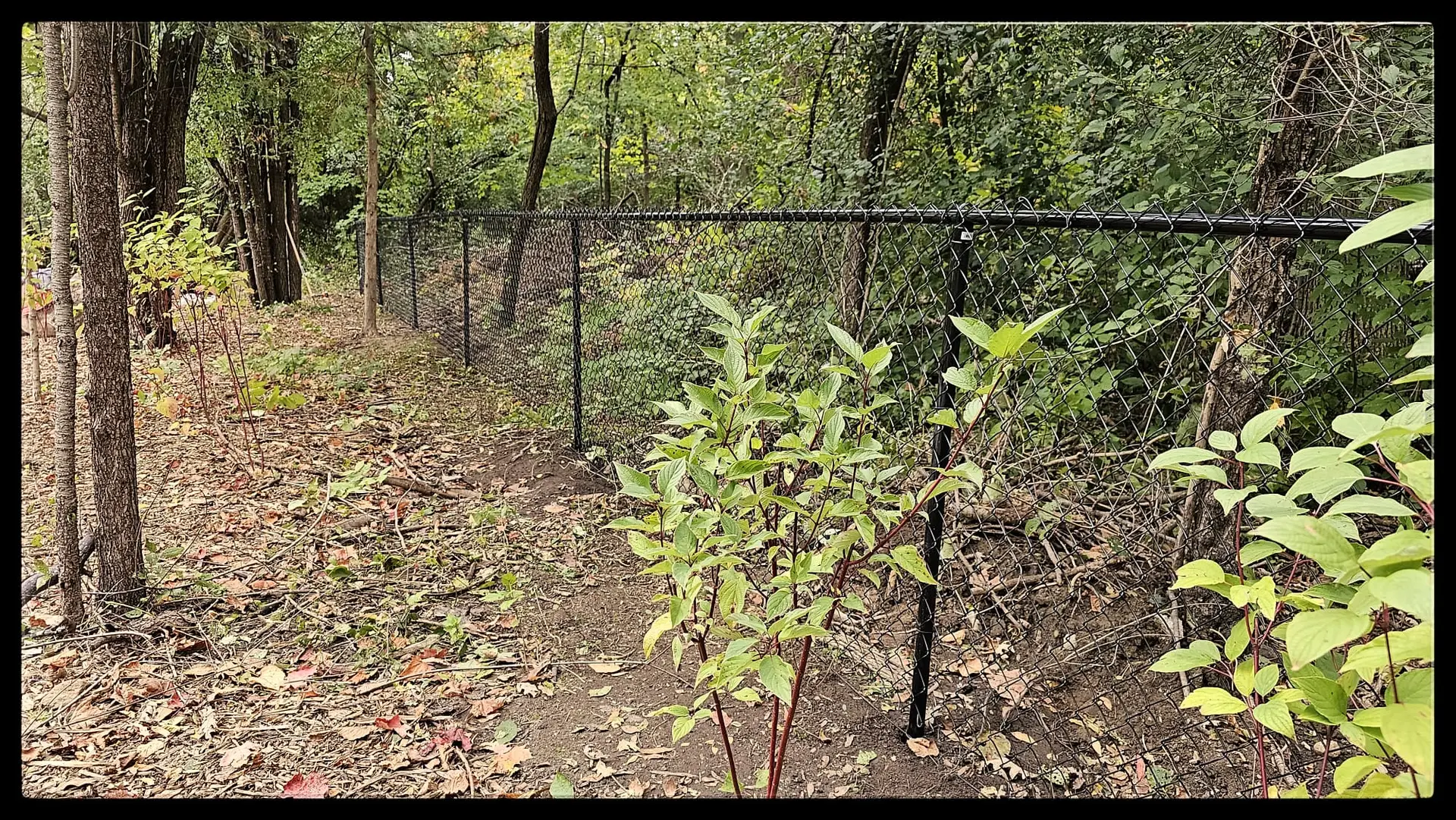 Residential Chain Link Fence