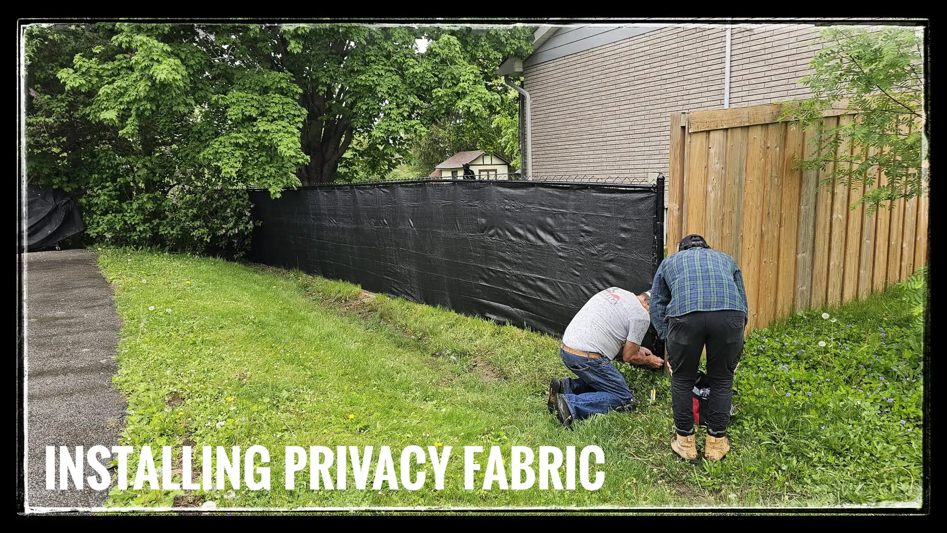 Privacy Fence