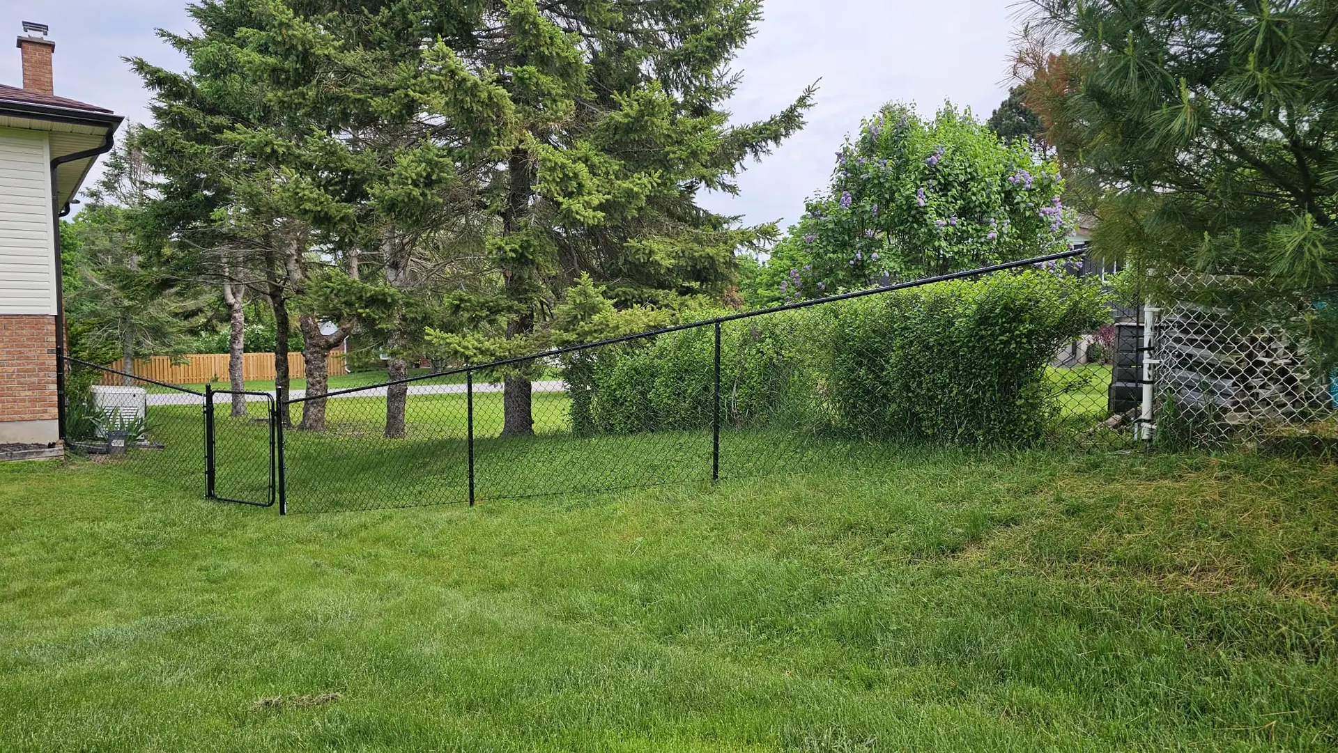 Residential Chain link Fence