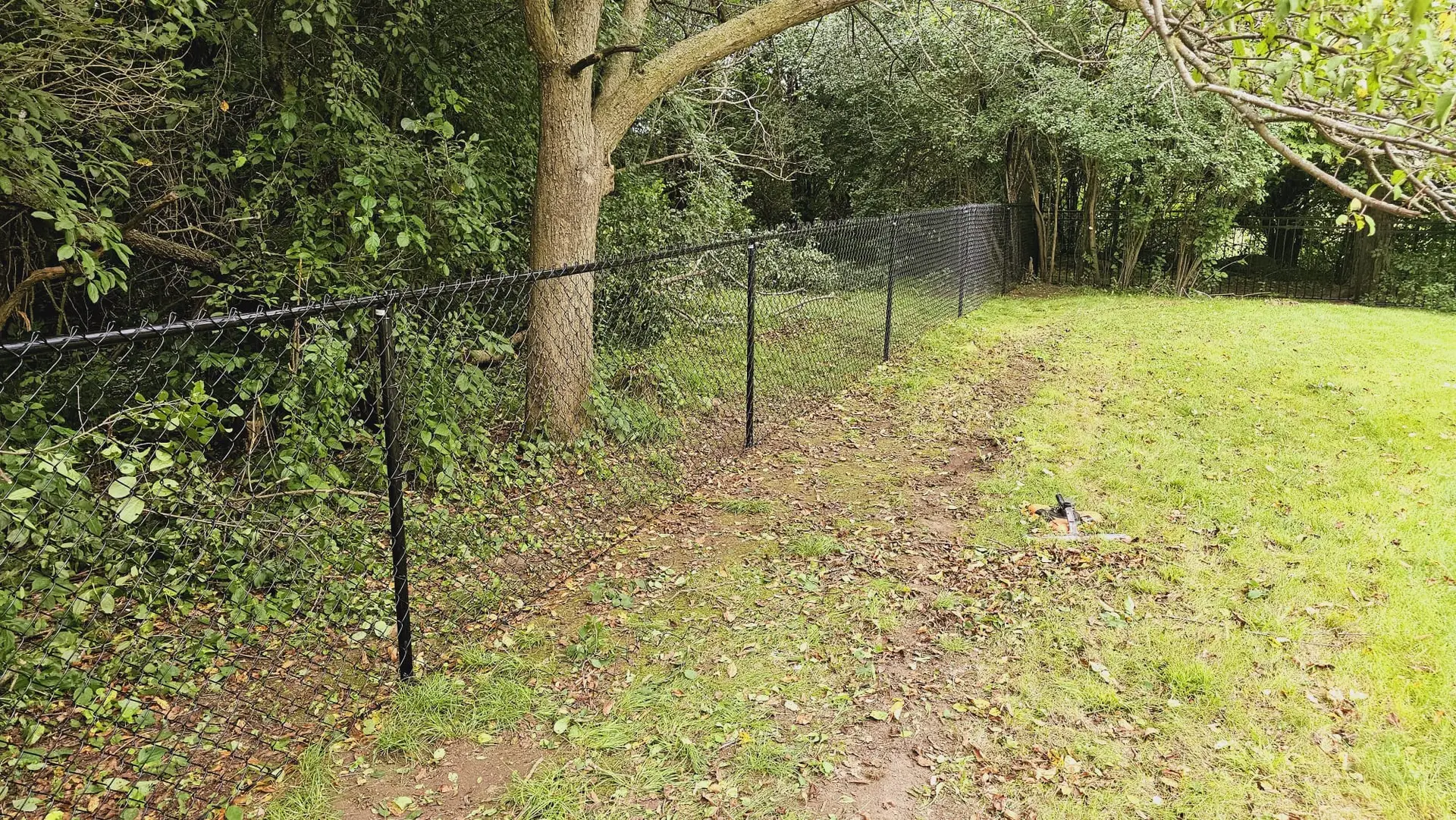 Residential Chain link Fence in forest