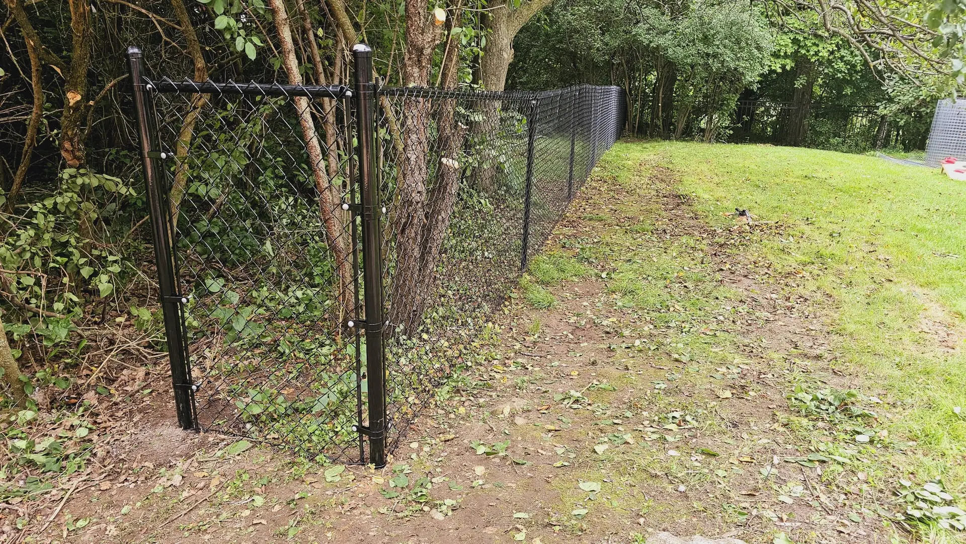 Residential Chain link Fence in forest